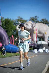 BIB: 
                            <button type="button" onclick="openModal(26542388)" class="btn btn-primary btn-sm float-right btn-popup" data-toggle="modal" data-target=".modal-high-quality">
                        <i class="fas fa-shopping-cart"></i> Add to Cart
                    </button>
                                            <button type="button" onclick="isThisMe(26542388, true)" class="btn btn-success btn-sm float-right btn-popup btn-isme hidden" data-toggle="tooltip" data-placement="bottom" title="นี่คือรูปของคุณใช่ไหม คลิกที่นี่เพื่อเอาเข้าอัลบั้ม">
                        <i class="fas fa-plus"></i> Add to album
                    </button>
                    <button type="button" onclick="isThisMe(26542388, false)" class="btn btn-warning btn-sm float-right btn-popup btn-isnotme hidden">
                        <i class="fas fa-ban"></i> Remove from album
                    </button>